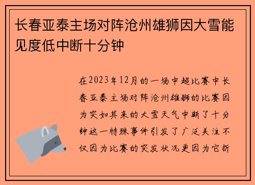 长春亚泰主场对阵沧州雄狮因大雪能见度低中断十分钟